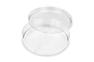 two clear plastic containers with lids on white background