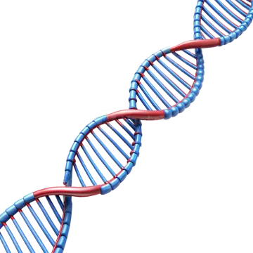 a blue and red dna strip