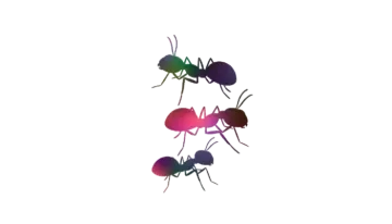 a group of ants standing next to each other ants
