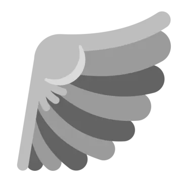 a gray wing on a white background