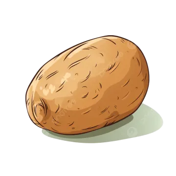 a potato on a white background