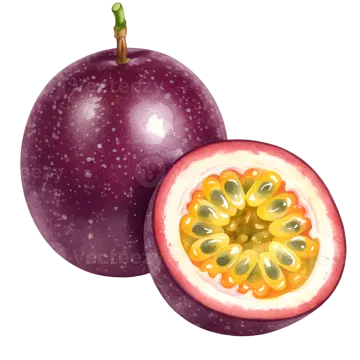 an illustration of a passion fruit