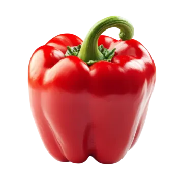 a red pepper on a white background