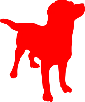 a black dog silhouetted on a white background