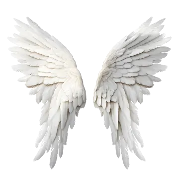 two white wings on a white background
