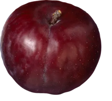 a red apple on a white background