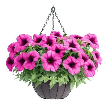 a hanging planter with pink flowers in it