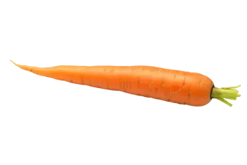 a single carrot on a white background