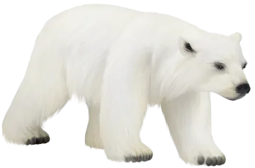 a white polar bear on a white background