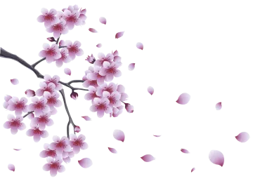 a branch with pink flowers on it