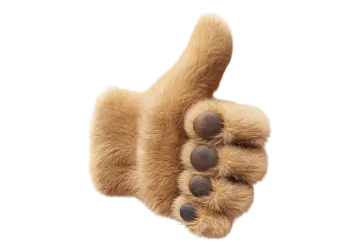 a dog's paw is shown on a white background
