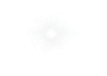 a white background with an image of a flower