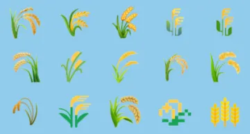 a set of different types of wheat