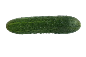 a pickle on a white background