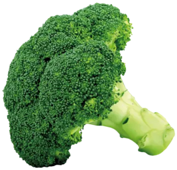 a close up of a piece of broccole