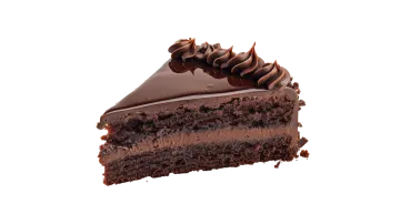 a piece of chocolate cake on a white background