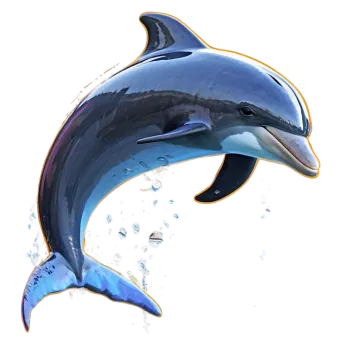 a dolphin jumping out of the water