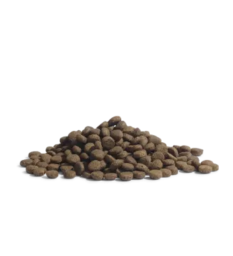 a pile of dog food on a white background