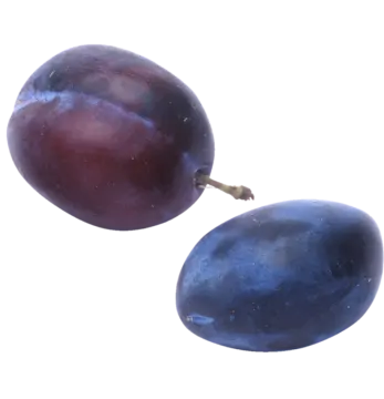 two plums on a white background