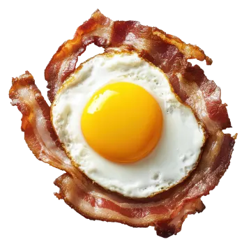 bacon and an egg on a white background