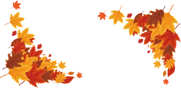 an image of a bunch of autumn leaves