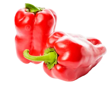 two red peppers on a white background
