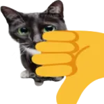 a cat that is pointing at the camera
