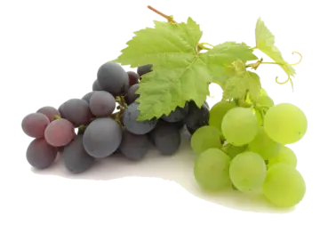 a bunch of grapes and some green leaves