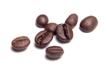 coffee beans on a white background