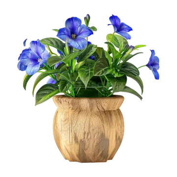 a blue flower in a wooden pot