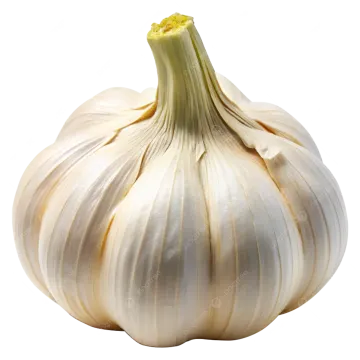 a single garlic on a white background