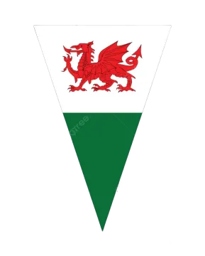 the flag of wales