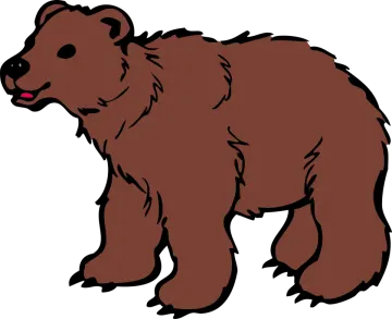 a brown bear on a white background
