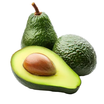 two avocas on a white background