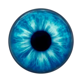 an image of a blue eye