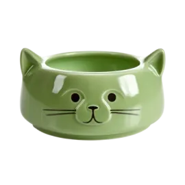 a green cat bowl on a white background