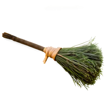 a bunch of green grass on a white background
