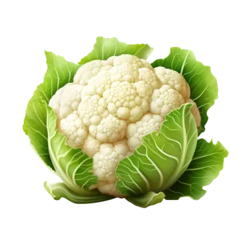 a head of caulia on a white background