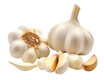 a bunch of garlic on a white background