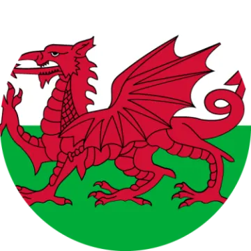 the flag of wales