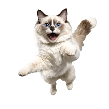 a cat is jumping in the air