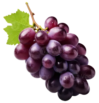a bunch of grapes on a white background