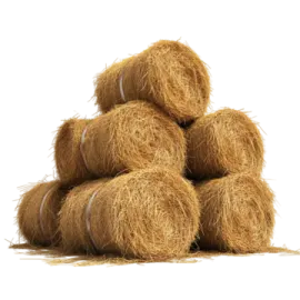 a pile of hay on a white background