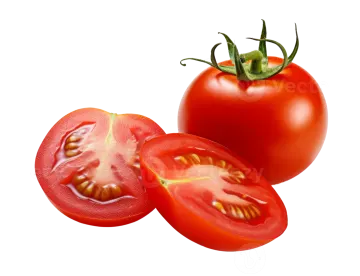 two tomatoes cut in half on white background