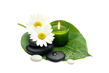 a candle and two black stones on a green leaf