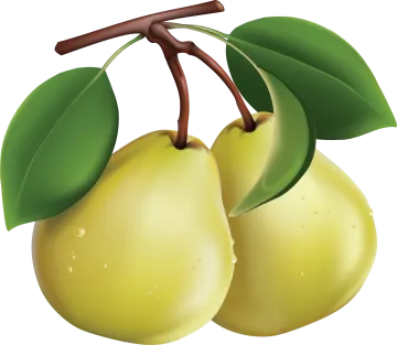 two yellow apples with green leaves on a branch