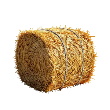 hay bale on a white background
