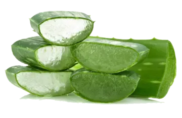 a pile of aloea alocaa slices