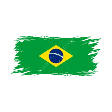 the brazilian flag on a white background