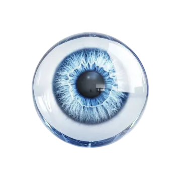 a close up view of a blue eye